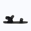 Black / Asphalt
