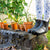 Xero Shoes Australia