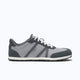 Alloy / Steel Gray