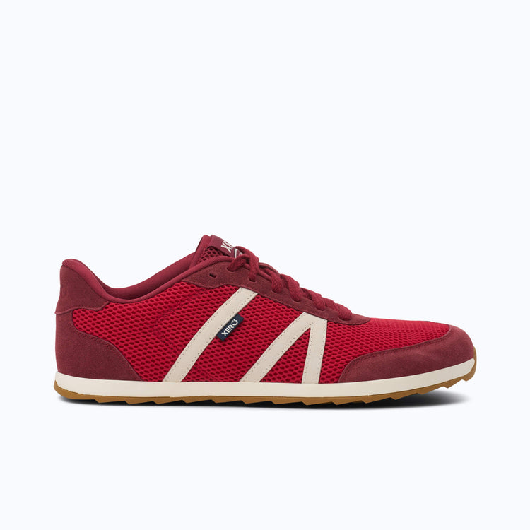 Wynn Sneaker - Men